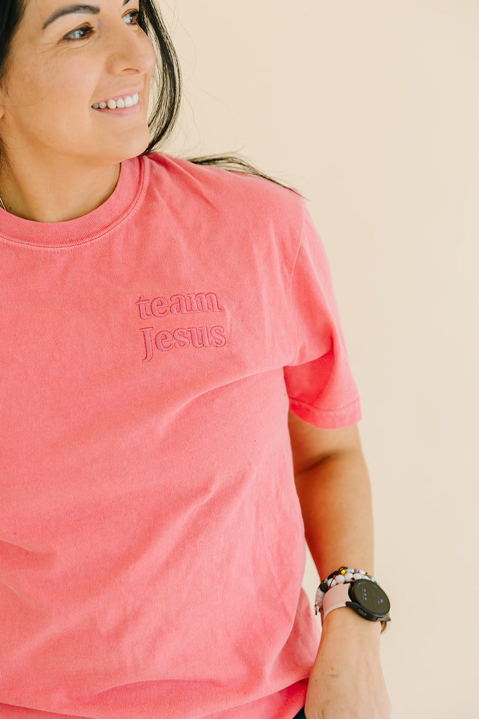 team jesus embroidered t-shirt christian apparel salt and hart  