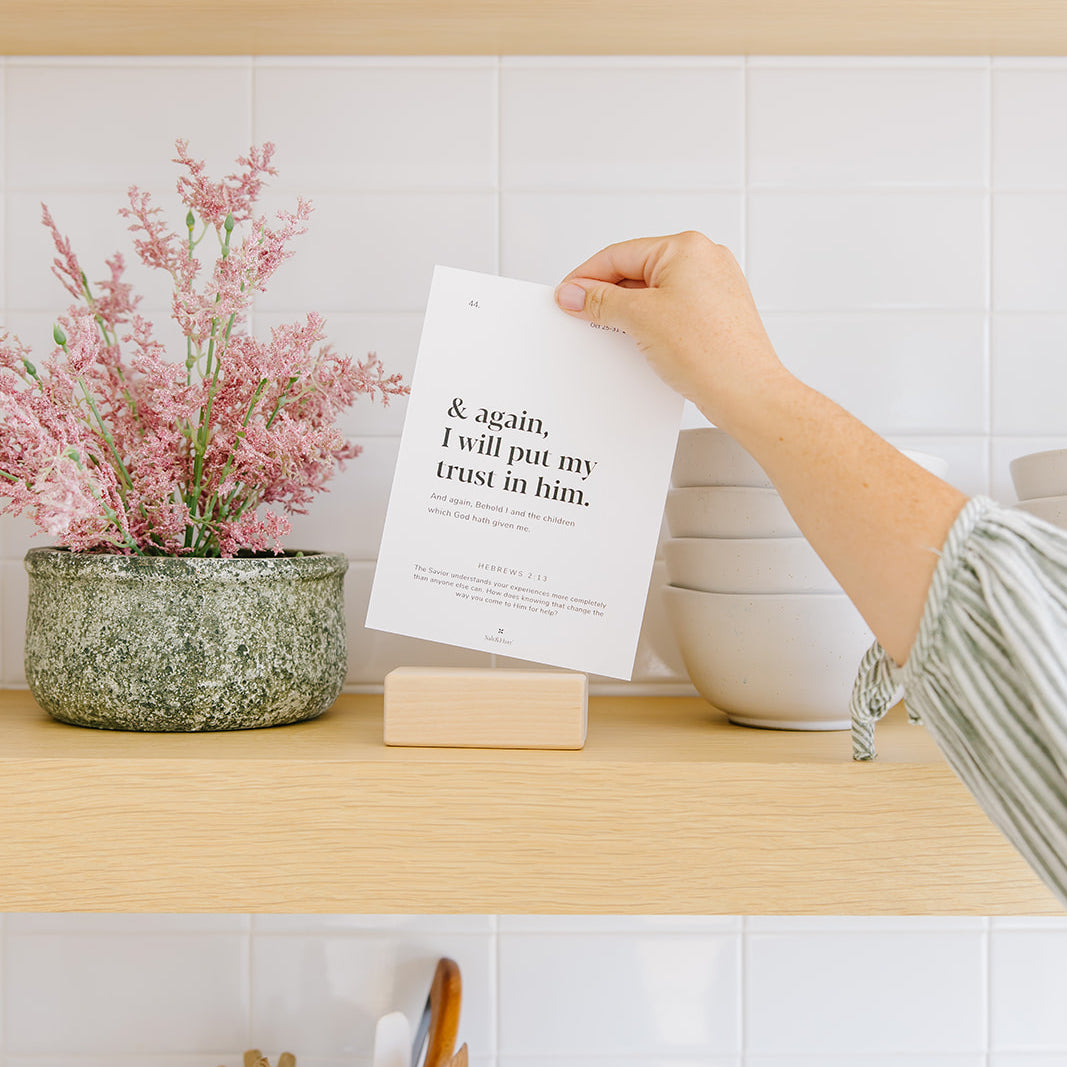 New Testament 2027 Card Set with Stand - Aligns with Come, Follow Me