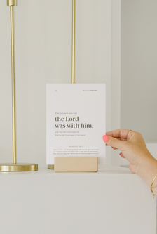New Testament 2027 Card Set with Stand - Aligns with Come, Follow Me